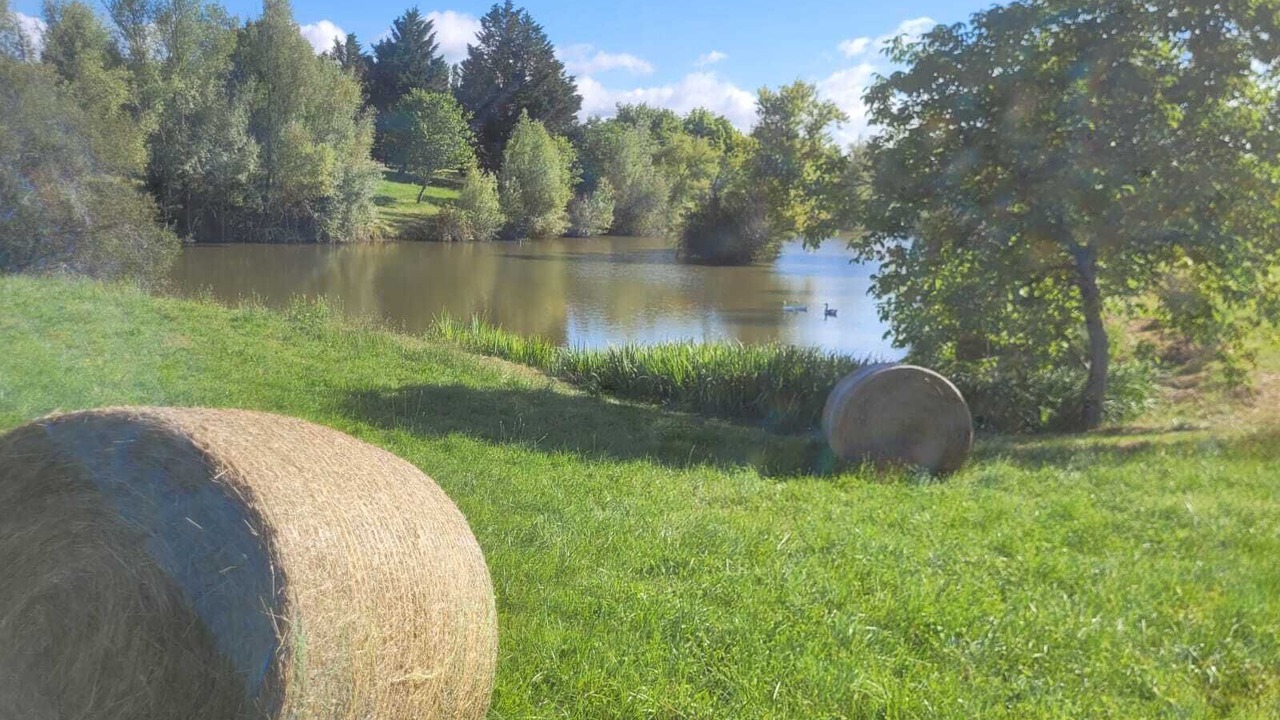 Photo of Outdoor in Castelnau-d'Auzan