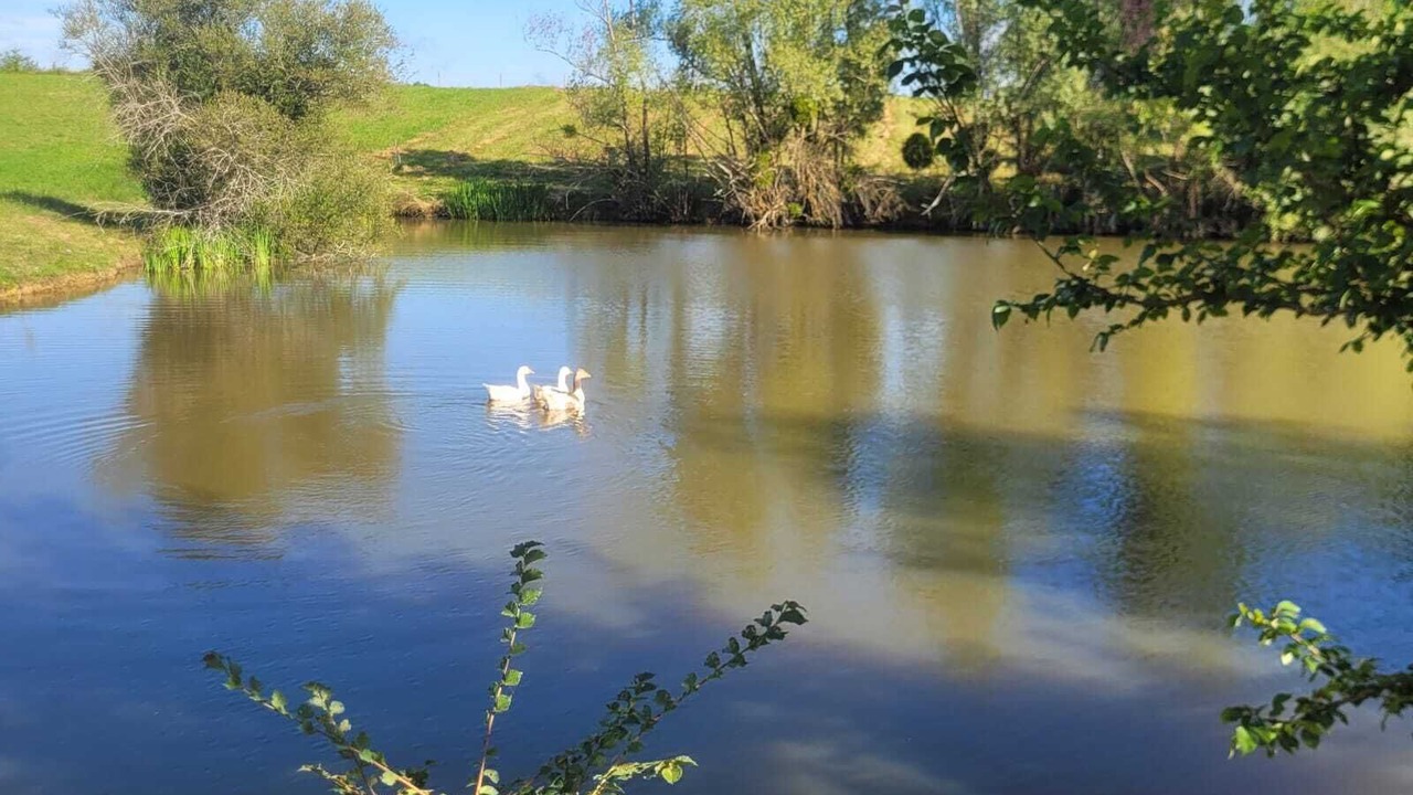 Photo of Outdoor in Castelnau-d'Auzan
