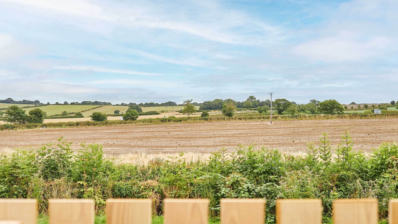 Photo of Others in Sinnington