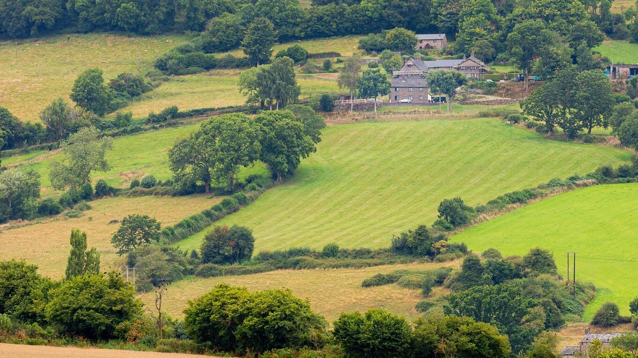 Photo of Others in Bwlch