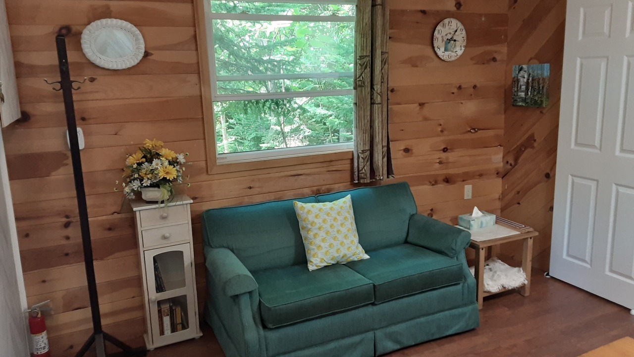 Photo of Livingroom in Forest CIty