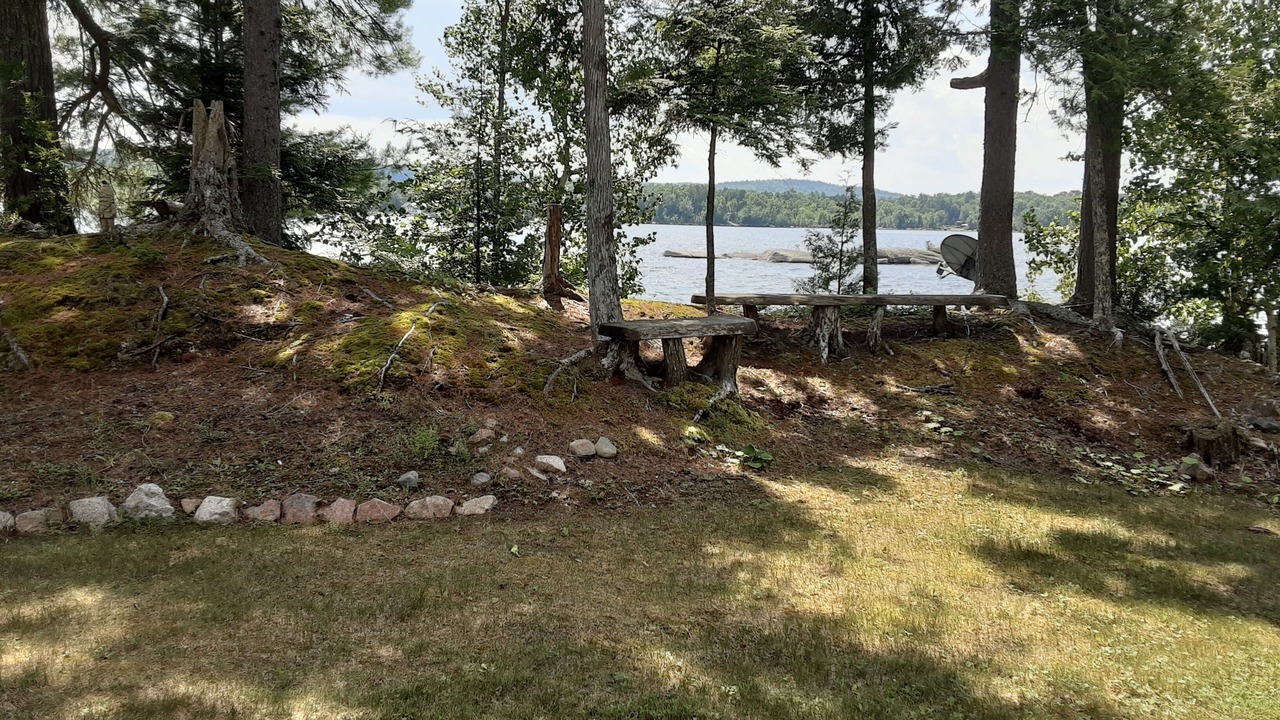 Photo of Outdoor in Forest CIty