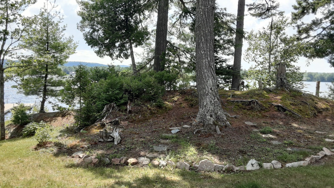 Photo of Outdoor in Forest CIty