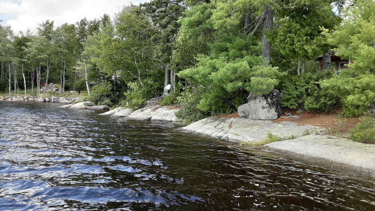 Photo of Others in Forest CIty
