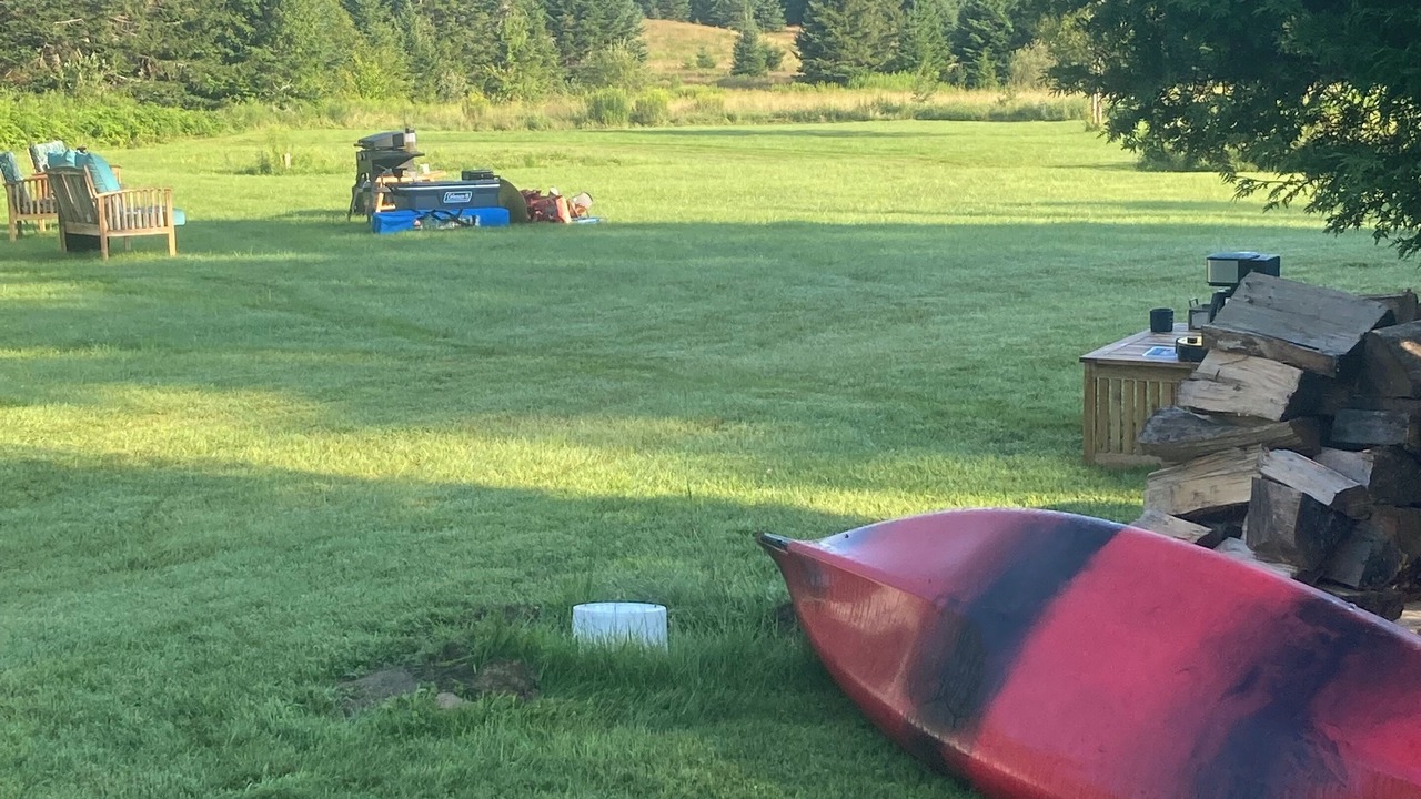 Photo of Others in Orleans