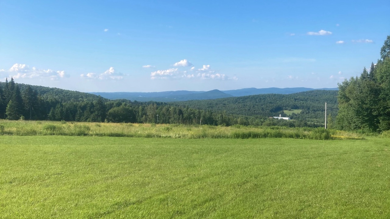 Photo of Outdoor in Orleans