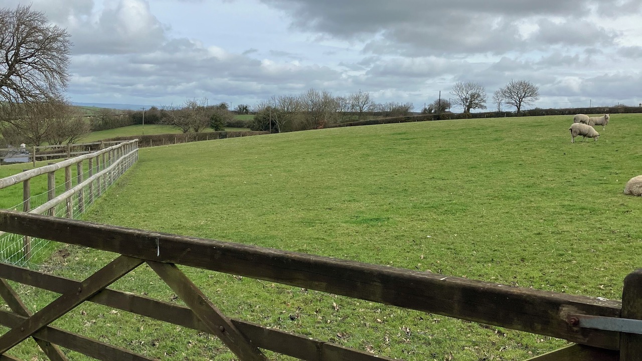 Photo of Outdoor in Sticklepath