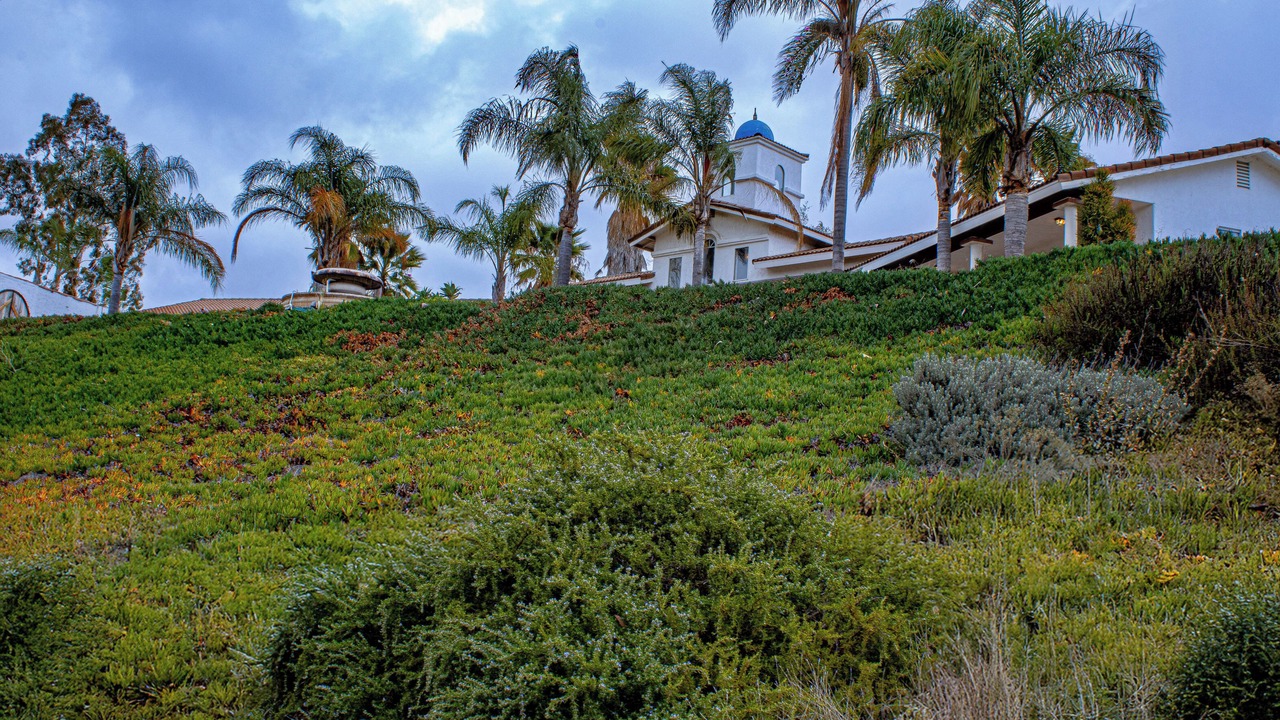 Photo of Outdoor in Jamul
