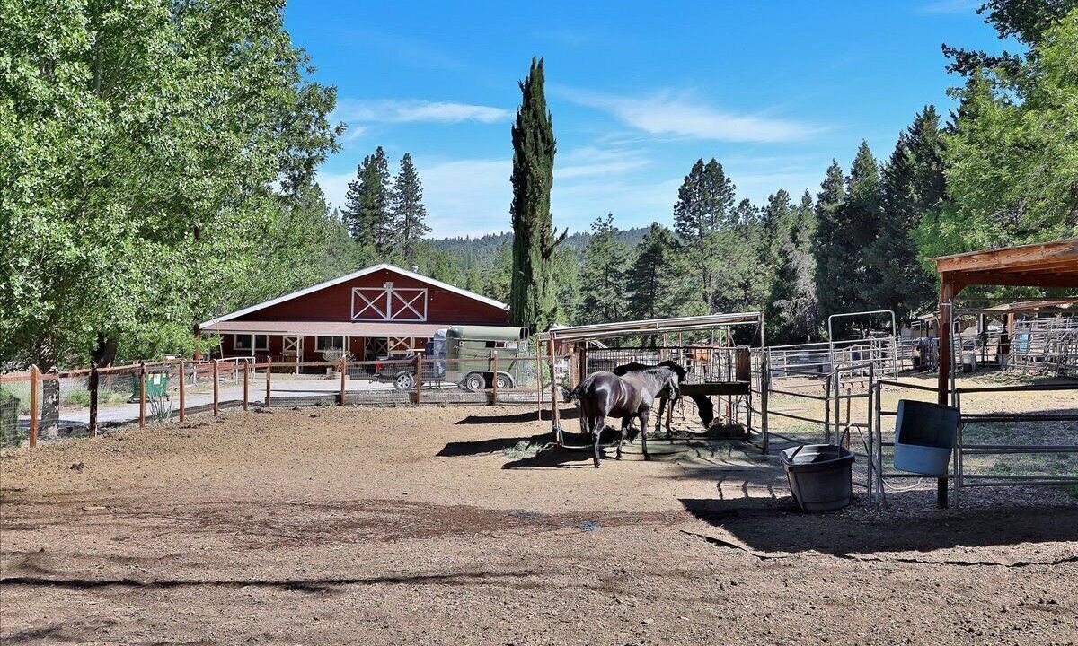 Photo of Outdoor in Mono Vista