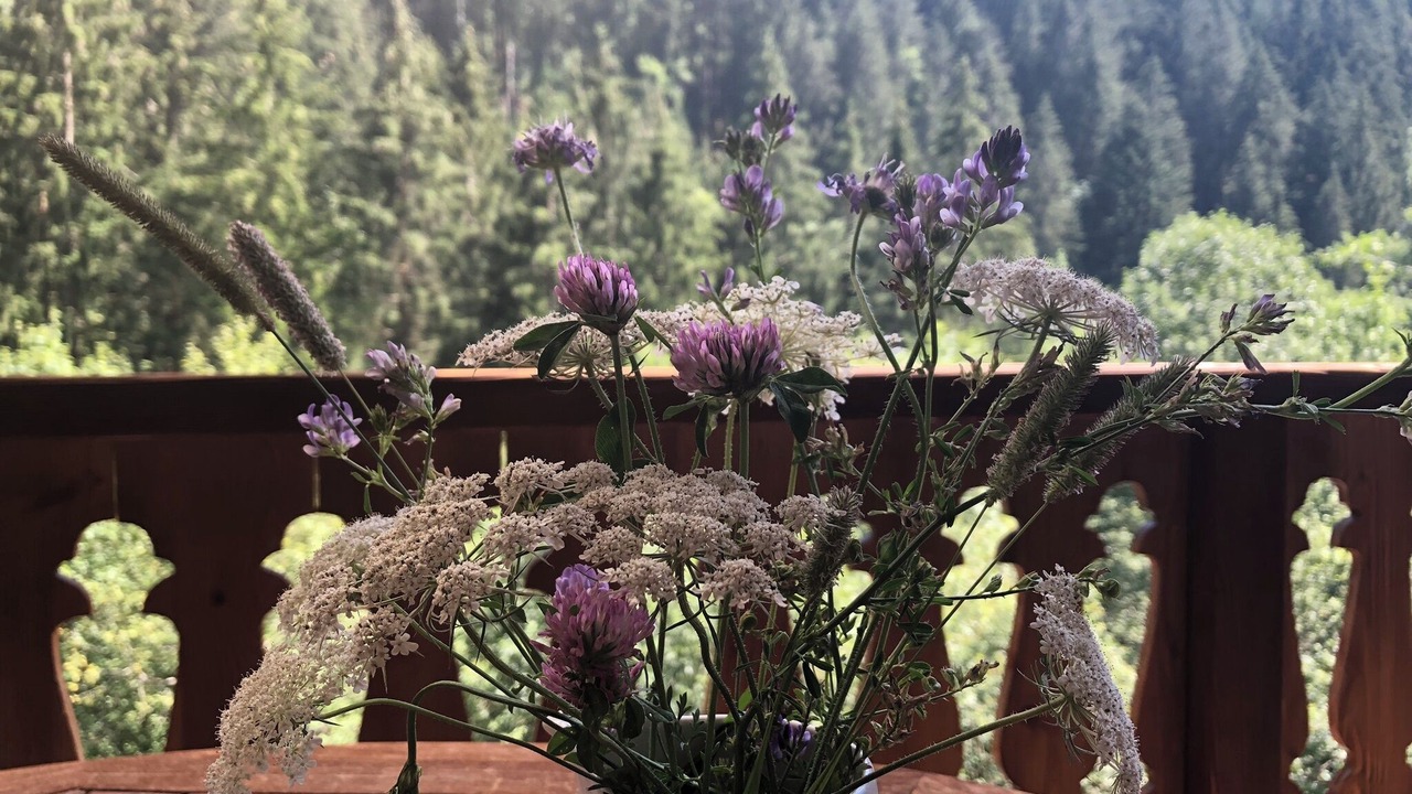 Photo of Patio Balcony in Champery