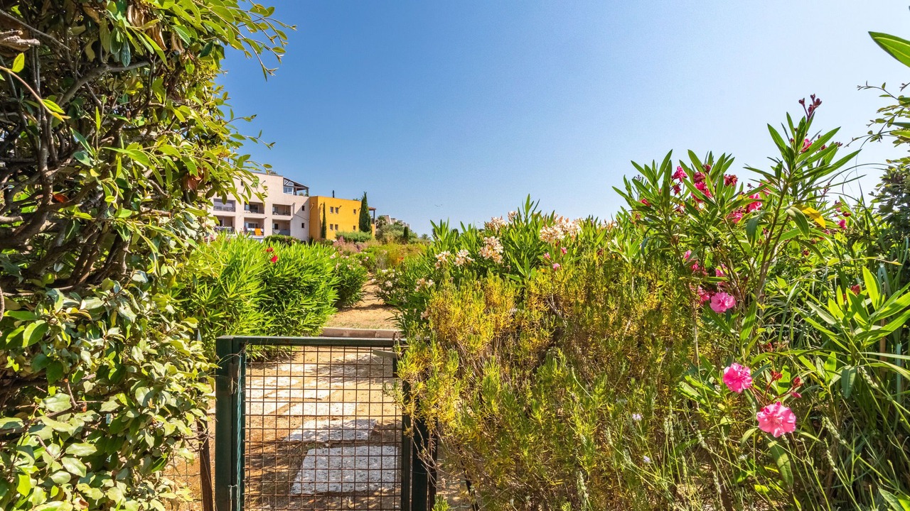 Photo of Others in Port Cogolin