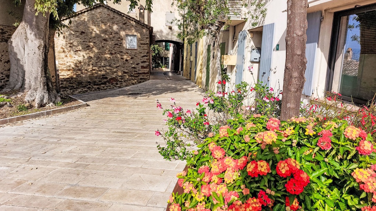 Photo of Others in Gassin