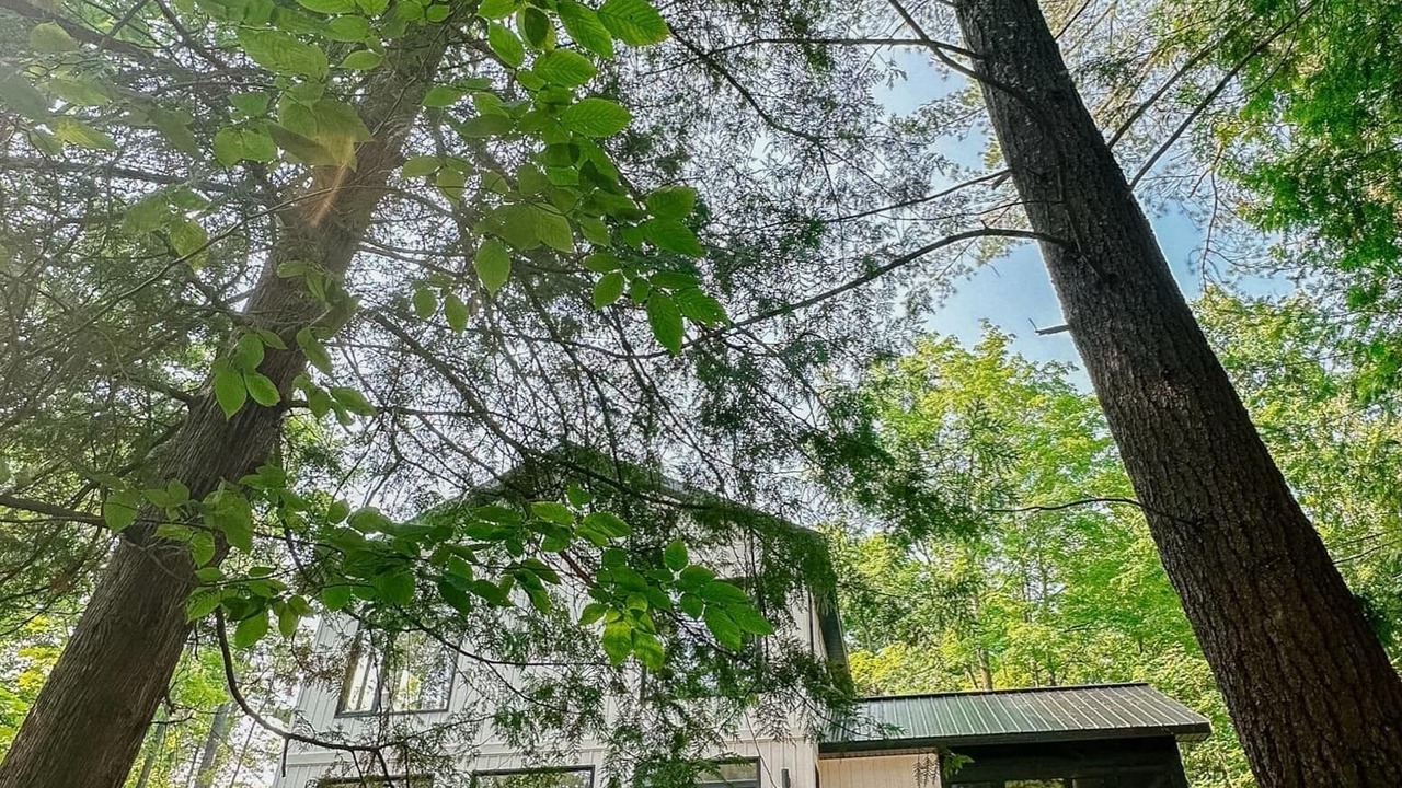 Photo of Outdoor in Lanark Highlands