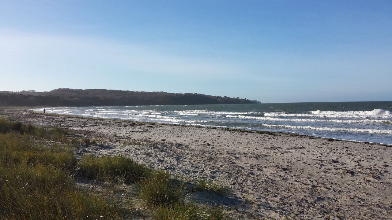 Photo of Others in Hoeve Strand