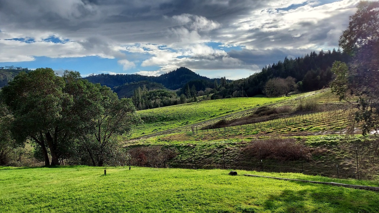 Photo of Others in Roseburg