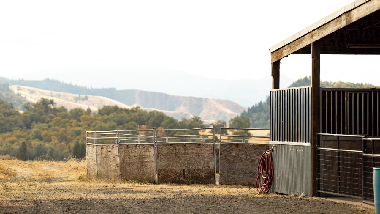 Photo of Outdoor in Roseburg