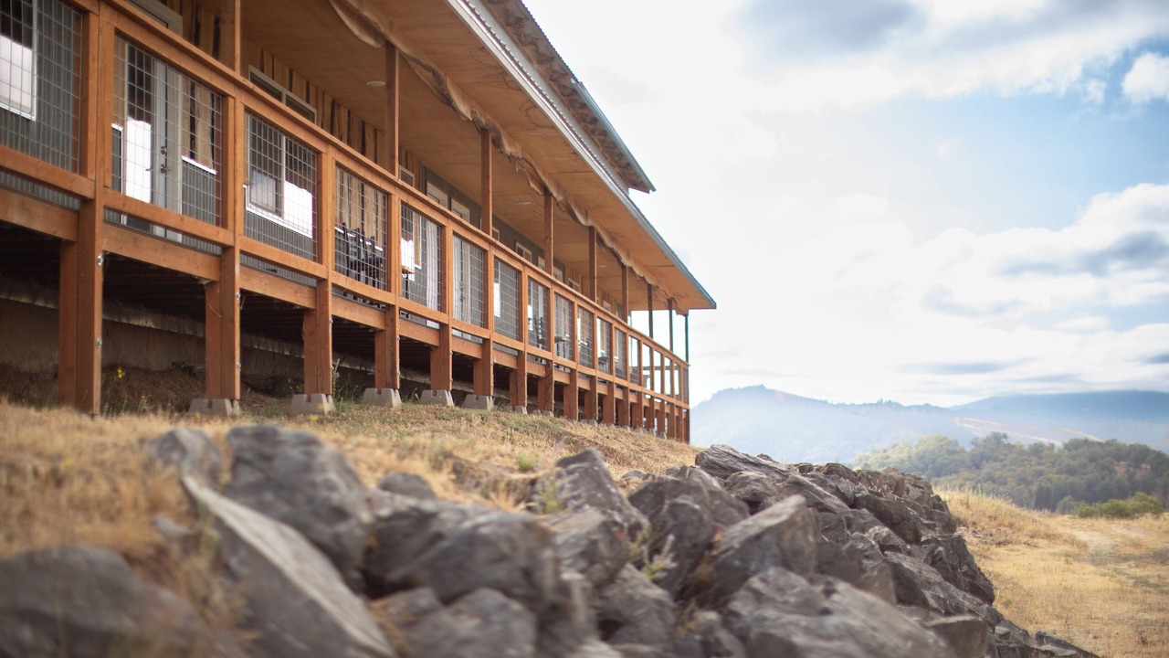 Photo of Outdoor in Roseburg