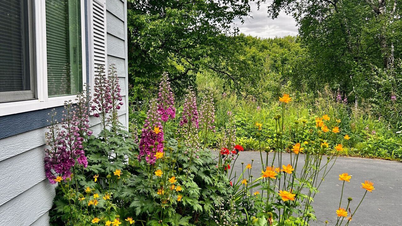 Photo of Outdoor in Fishhook