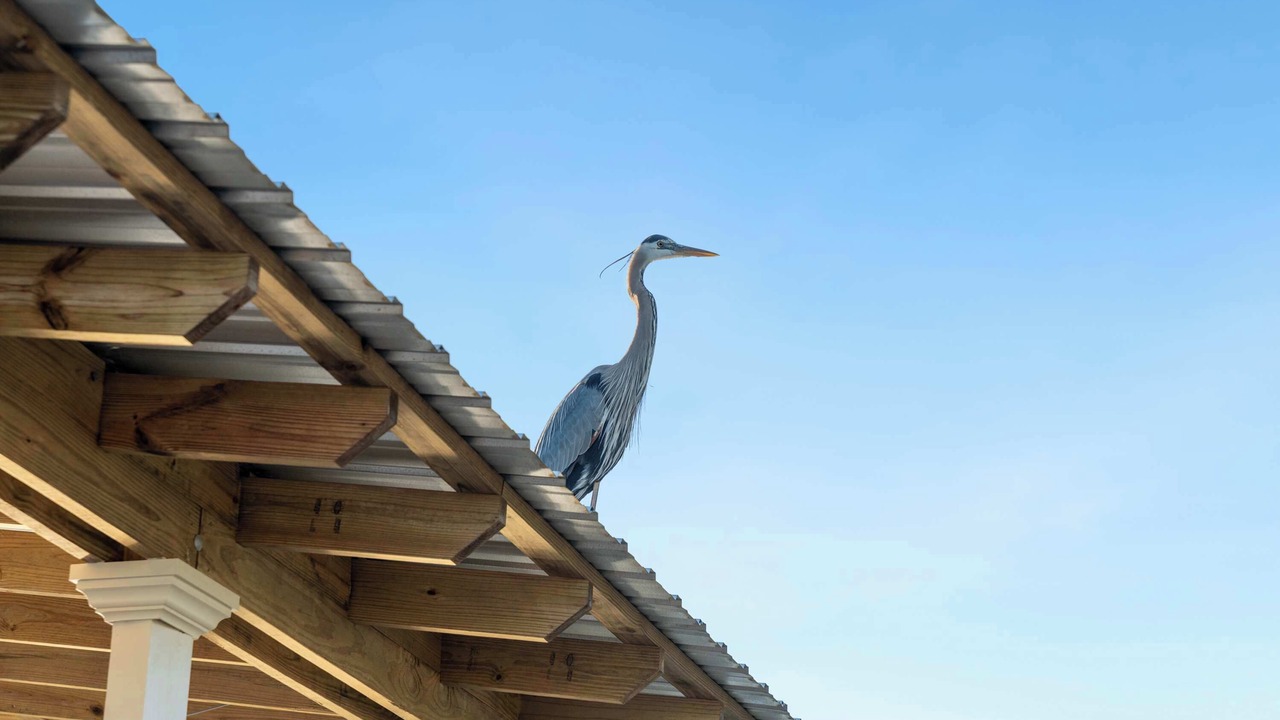 Photo of Others in Perdido Beach