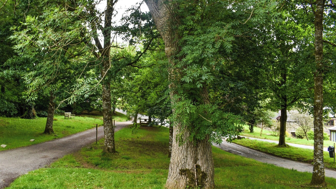 Photo of Others in Trewen