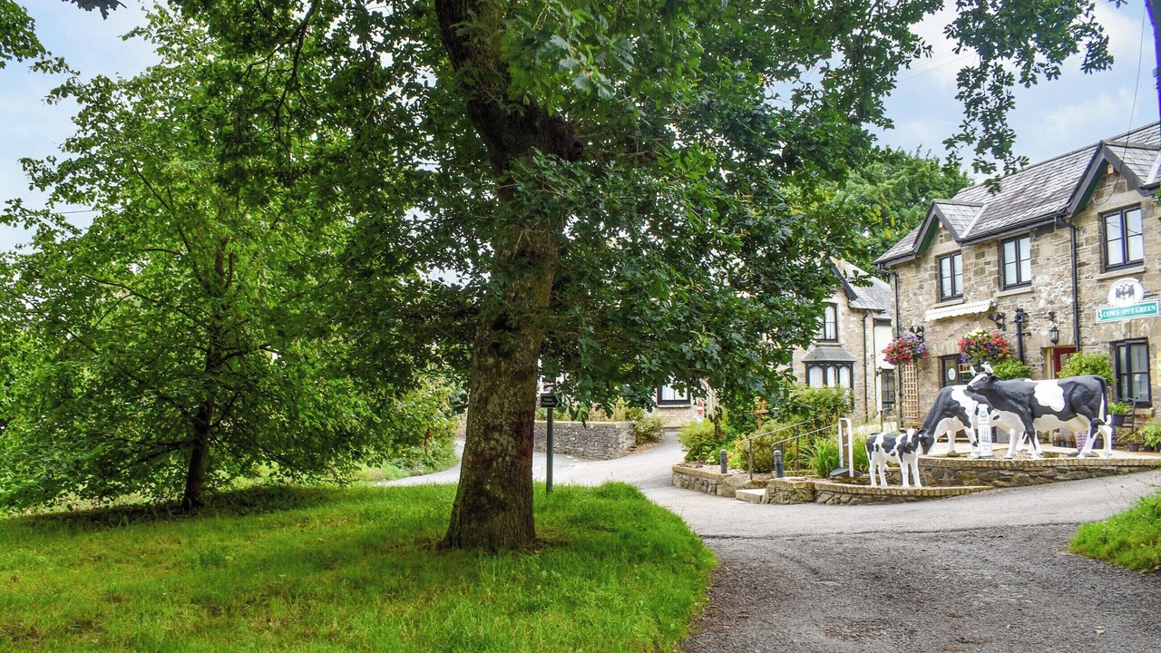 Photo of Others in Trewen