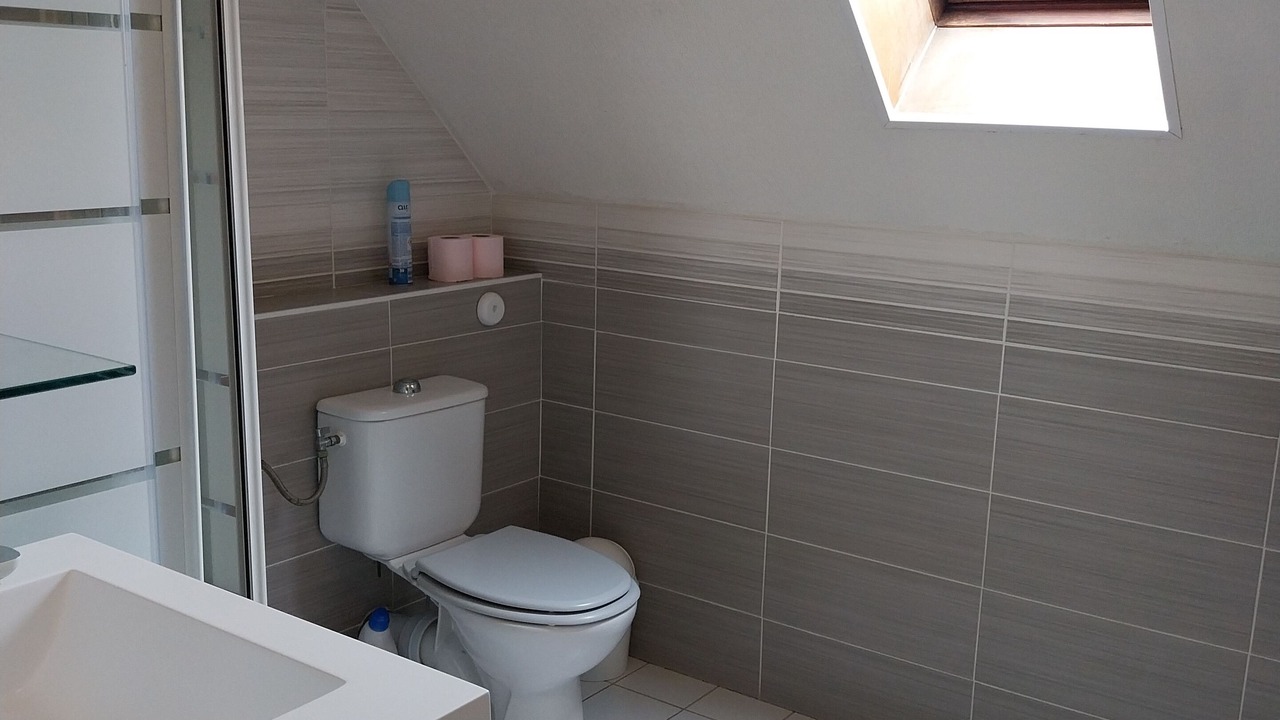 Photo of Bathroom in Saint-Germain-les-Corbeil