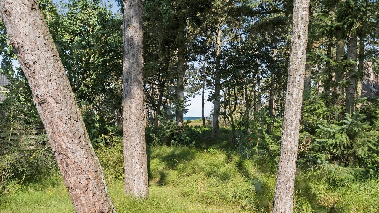 Photo of Others in Frolunde