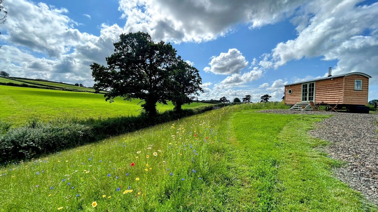 Photo of Others in Chittlehampton