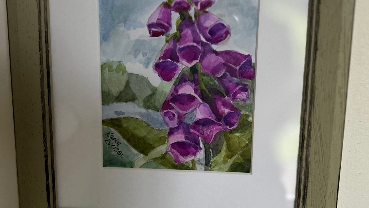 Photo of Others in Chittlehampton