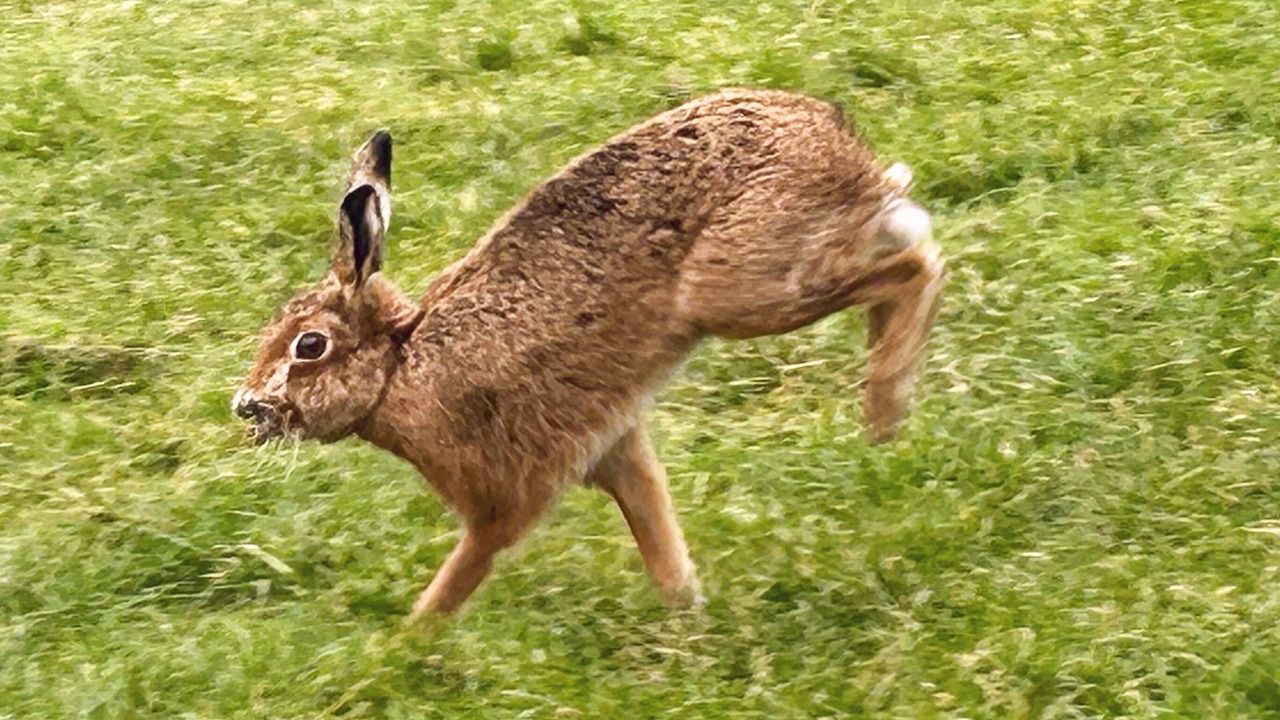Photo of Others in Chittlehampton
