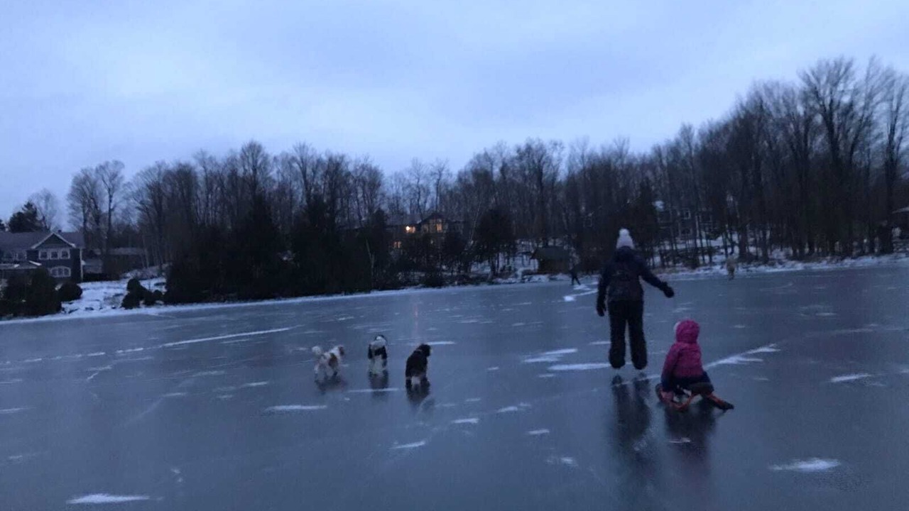 Photo of Others in Balderson