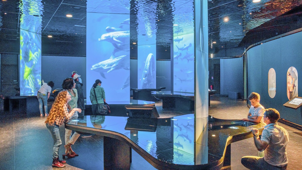 Photo of Others in Cherbourg-en-Cotentin