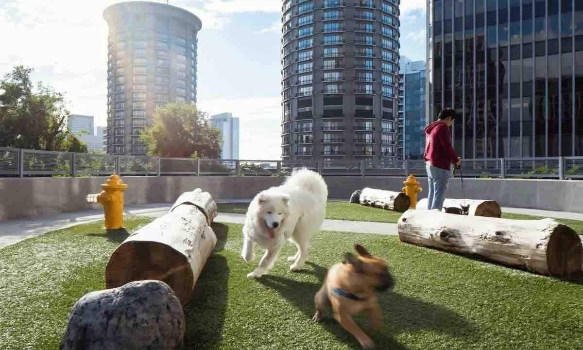 Photo of Outdoor in The Gulch