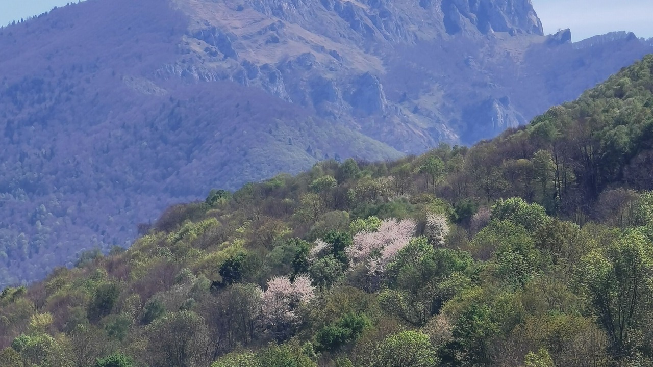Photo of Others in Troubat