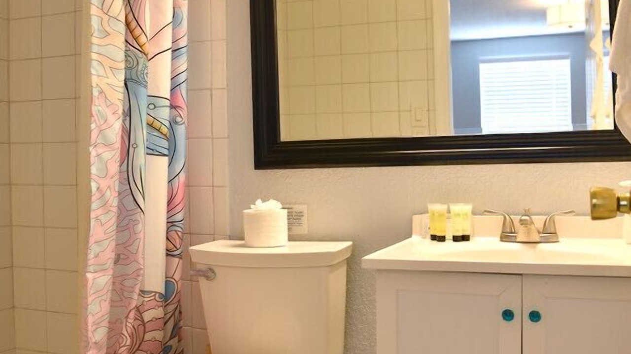 Photo of Bathroom in Port Richey