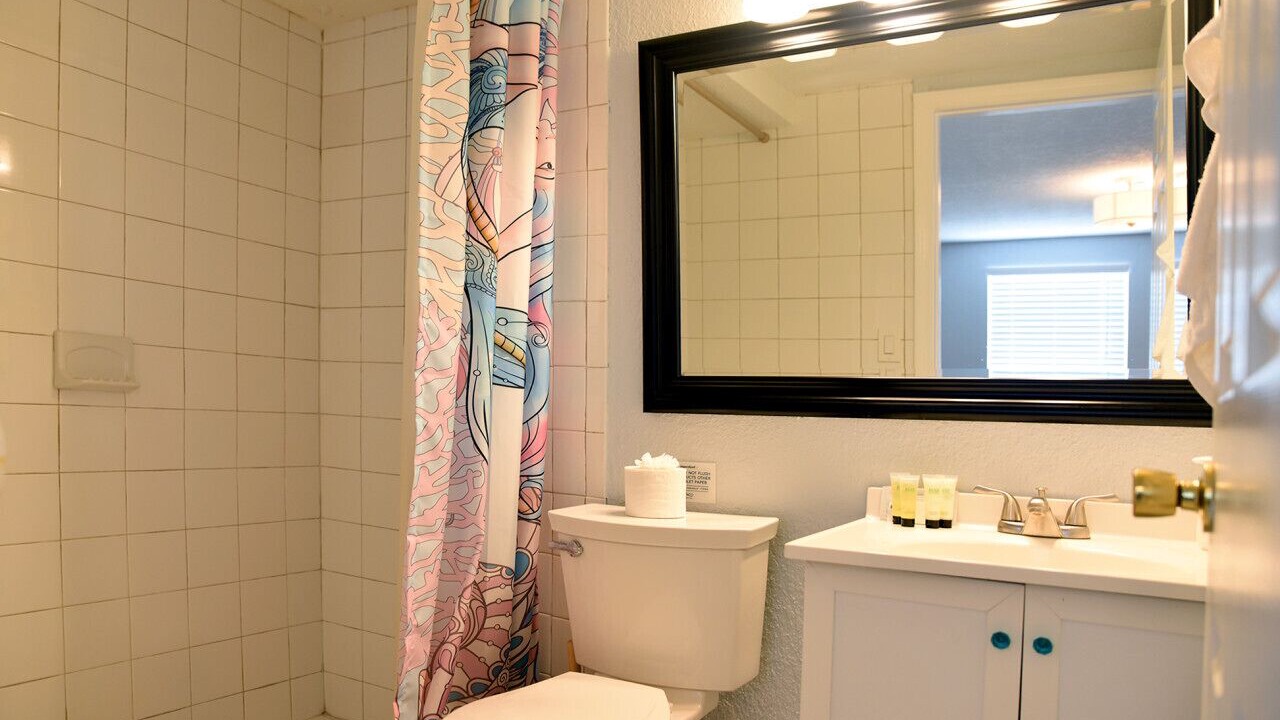 Photo of Bathroom in Port Richey