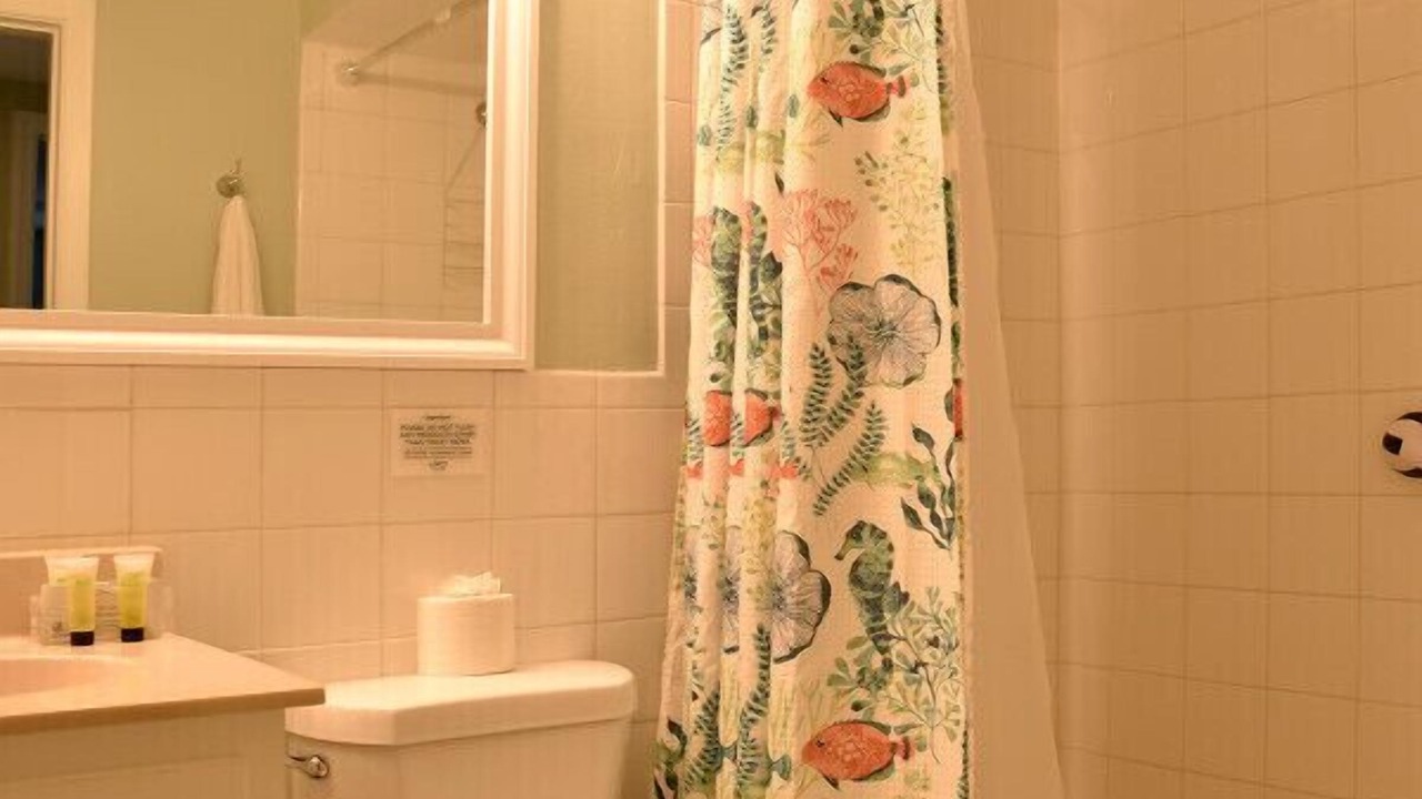 Photo of Bathroom in Port Richey