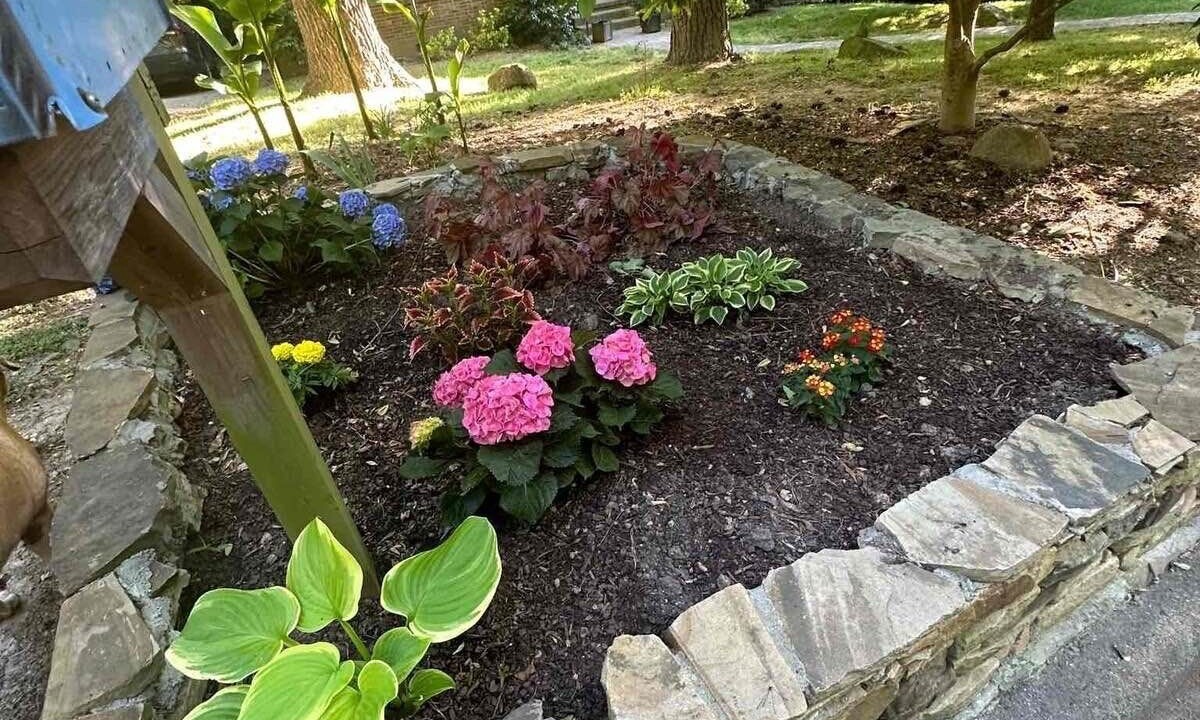 Photo of Outdoor in Chapel Hill