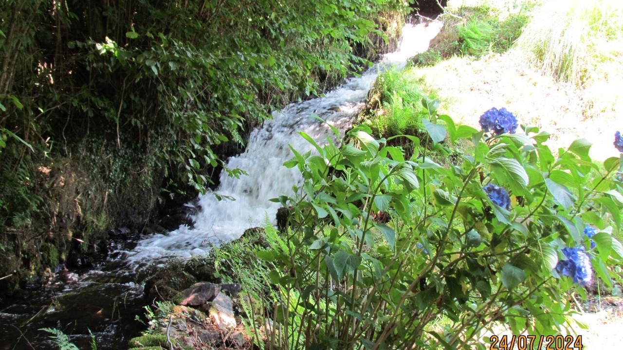 Photo of Outdoor in Bersac-sur-Rivalier