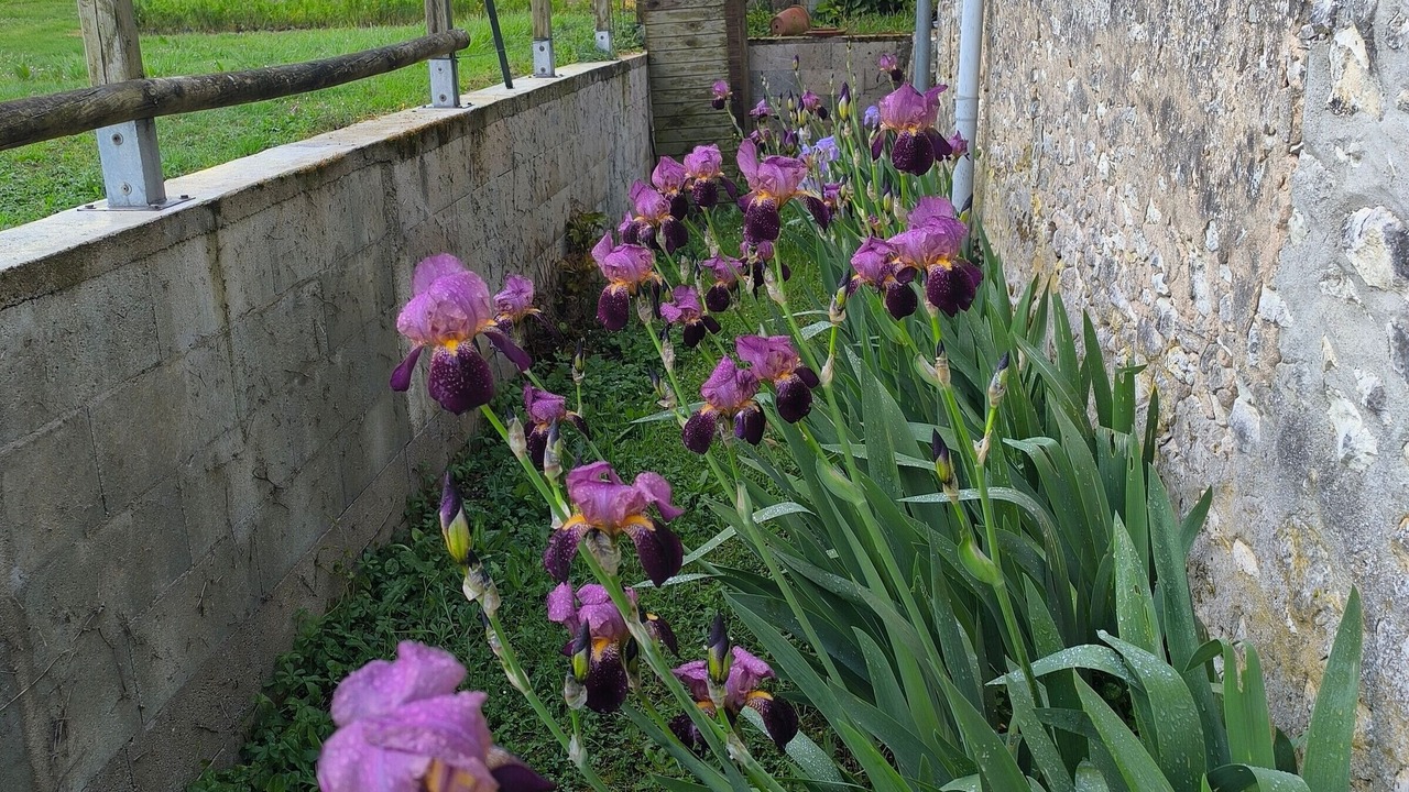 Photo of Outdoor in Mezieres-en-Brenne