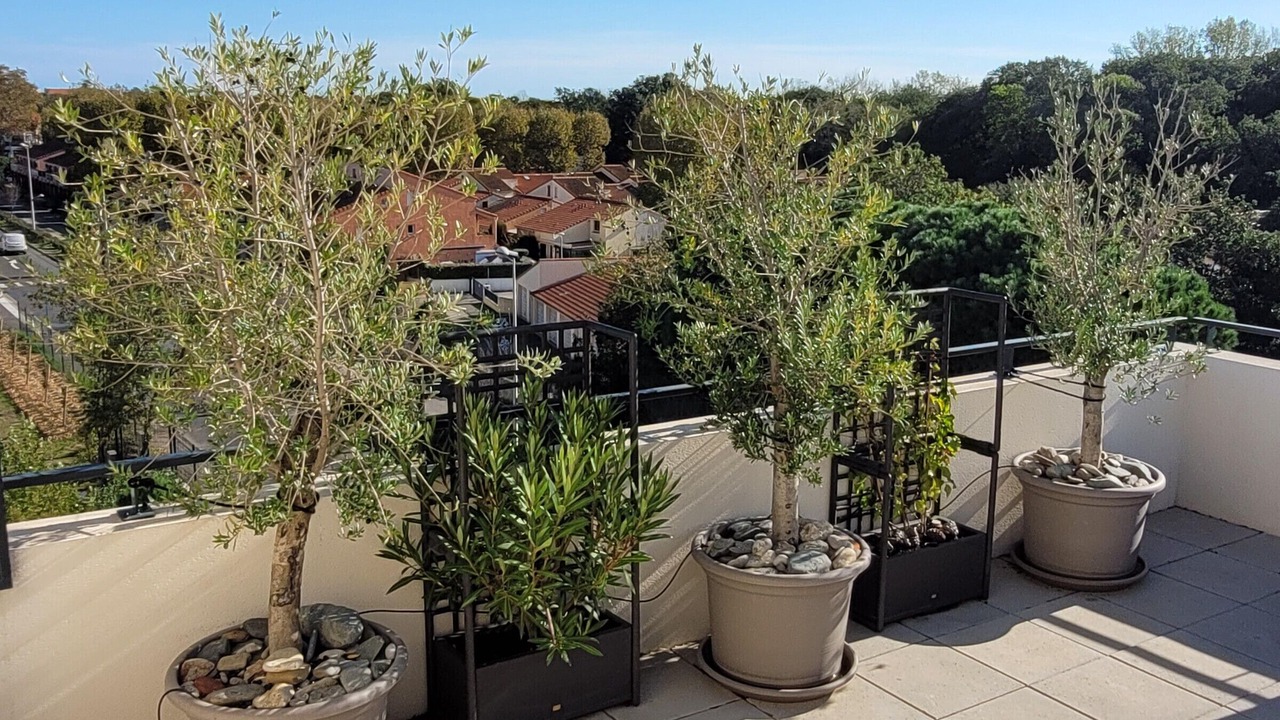 Photo of Patio Balcony in Argeles-sur-Mer