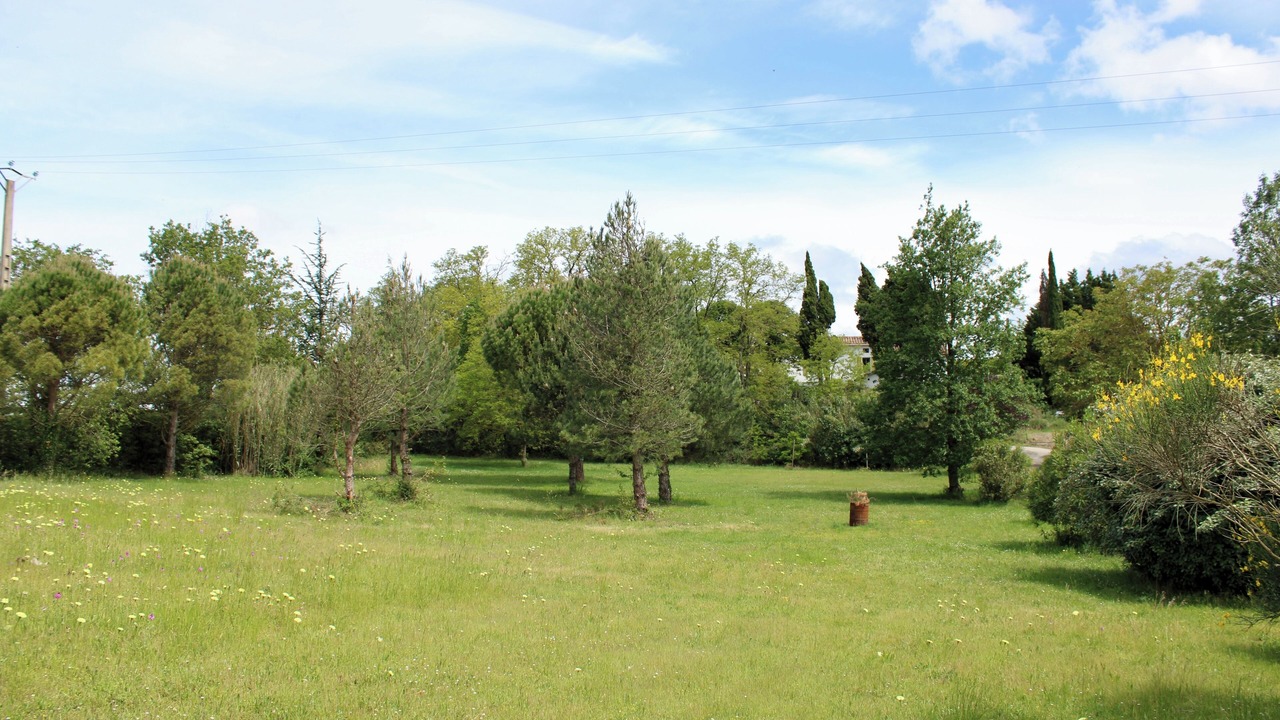Photo of Others in Issel