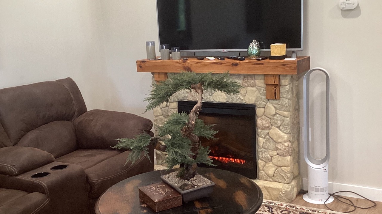 Photo of Livingroom in Elliot Lake