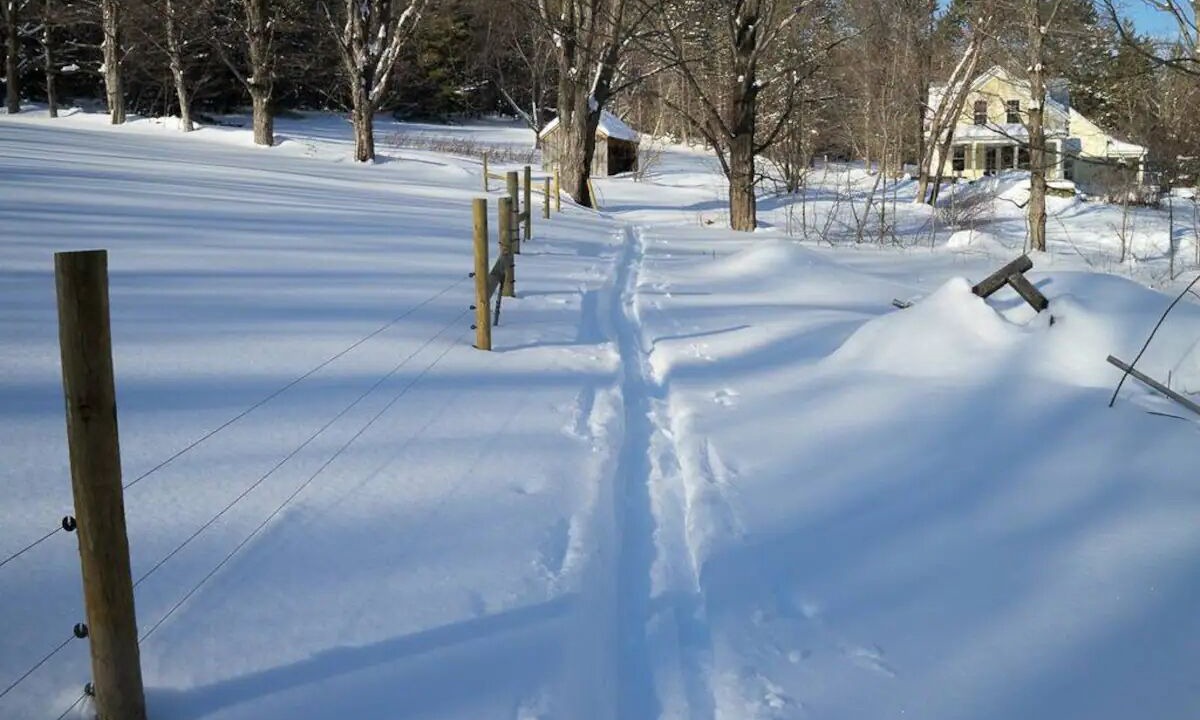 Photo of Others in Waterbury