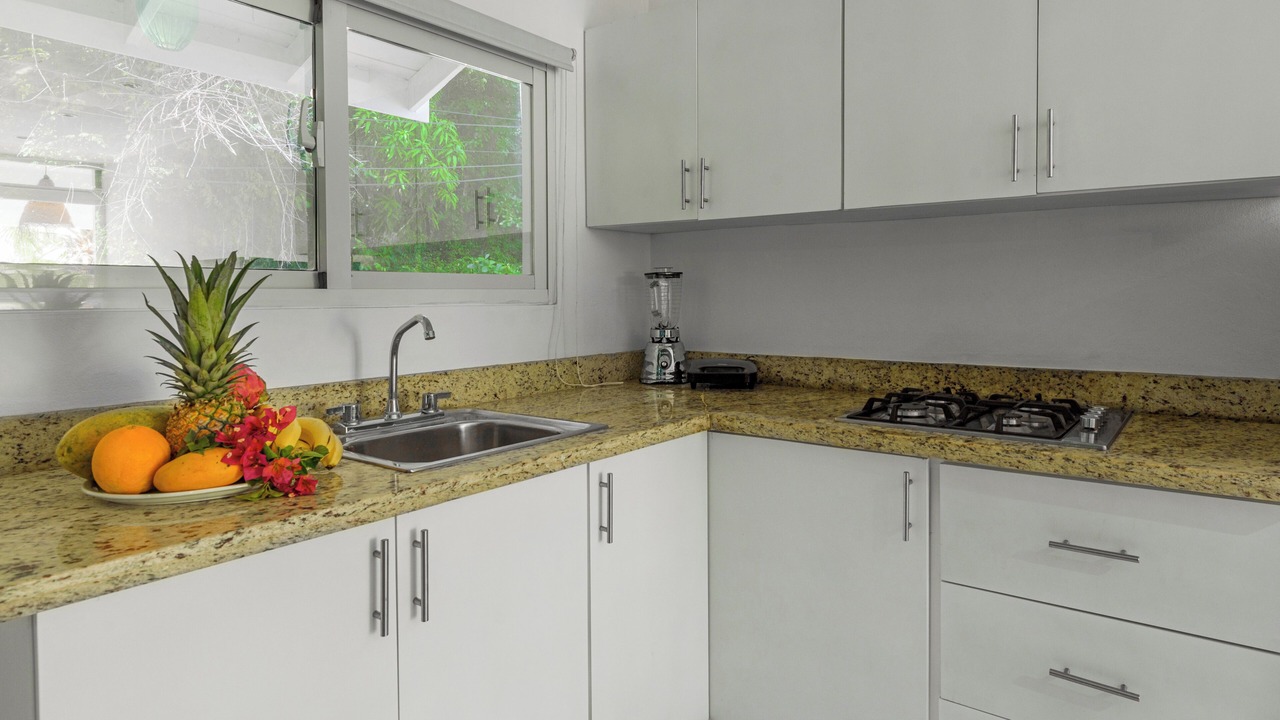 Photo of Kitchen in Las Terrenas