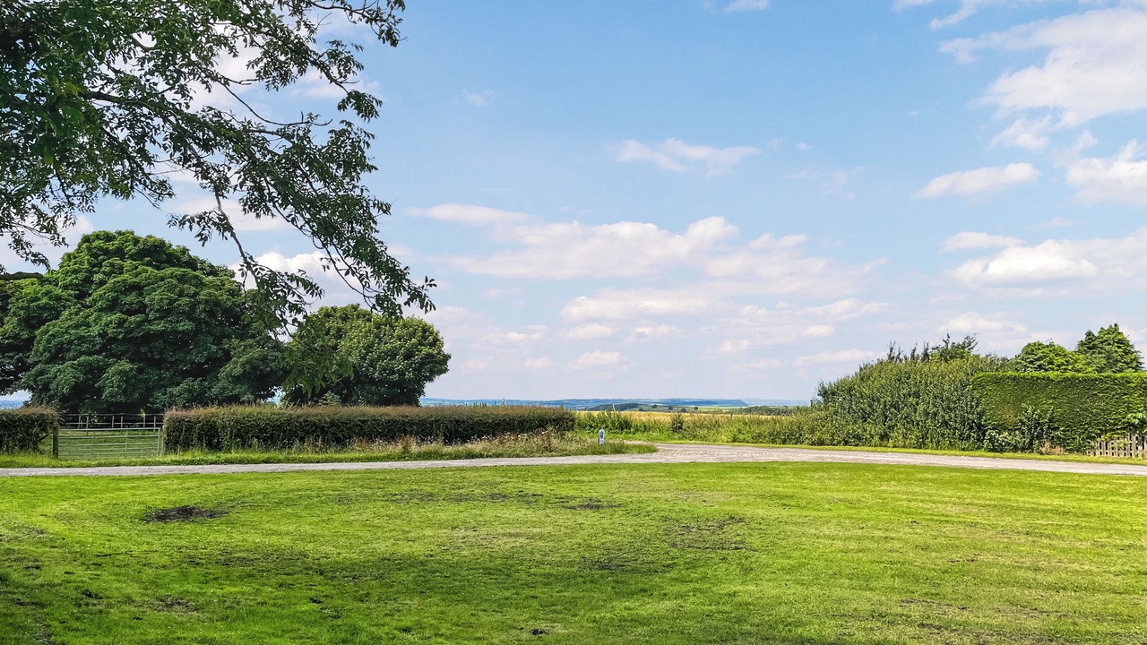 Photo of Others in Durham