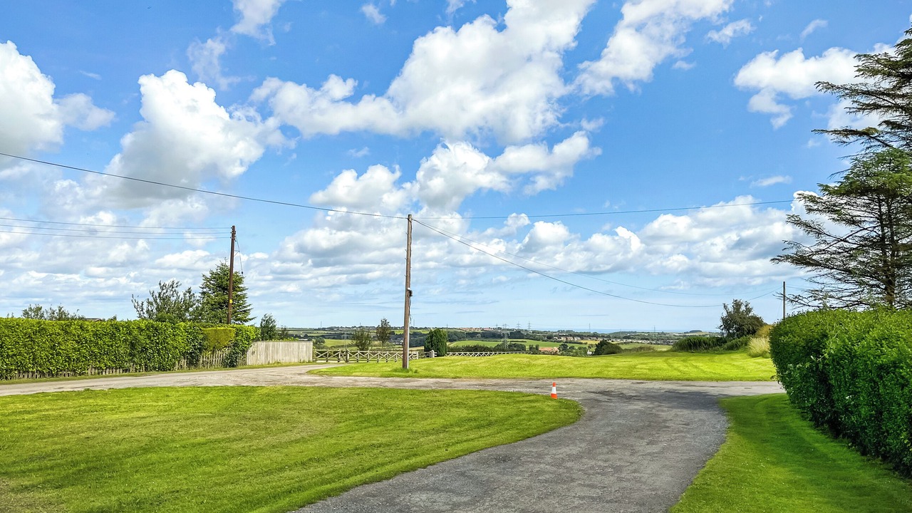 Photo of Others in Durham