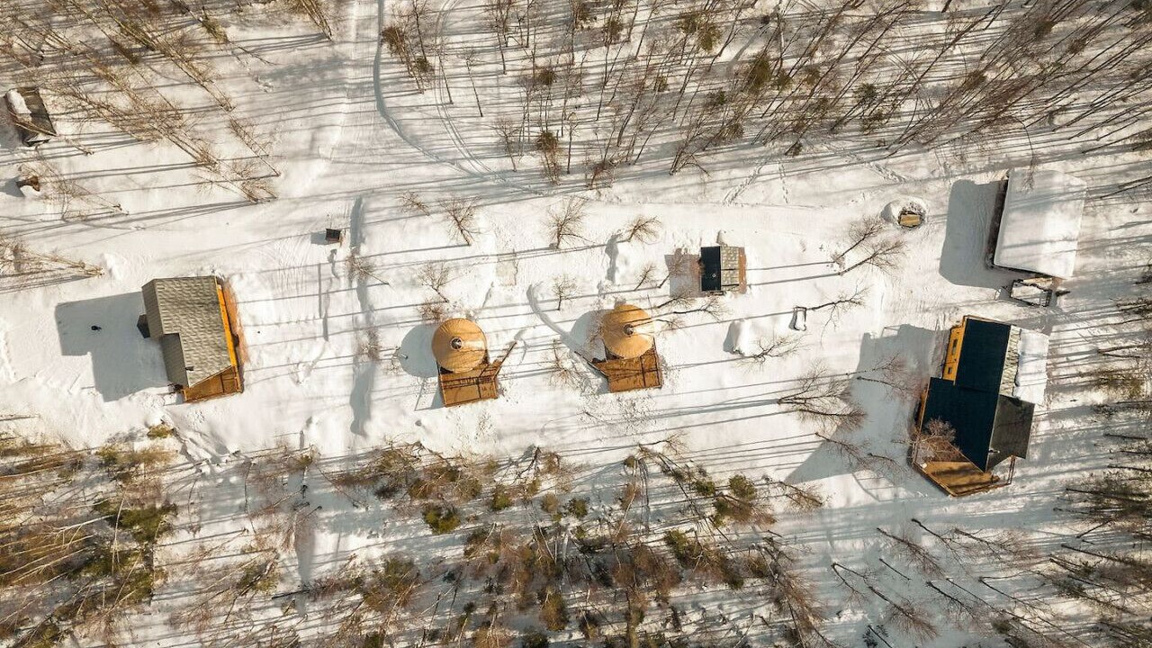 Photo of Outdoor in Willow