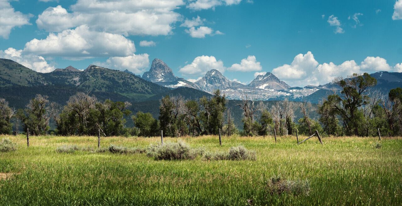 Photo of Others in Clawson