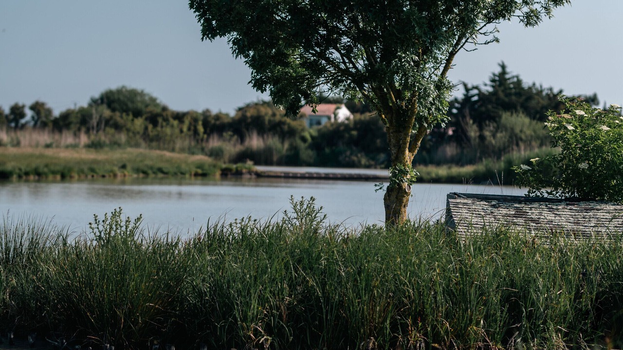 Photo of Others in Bois-de-Cene